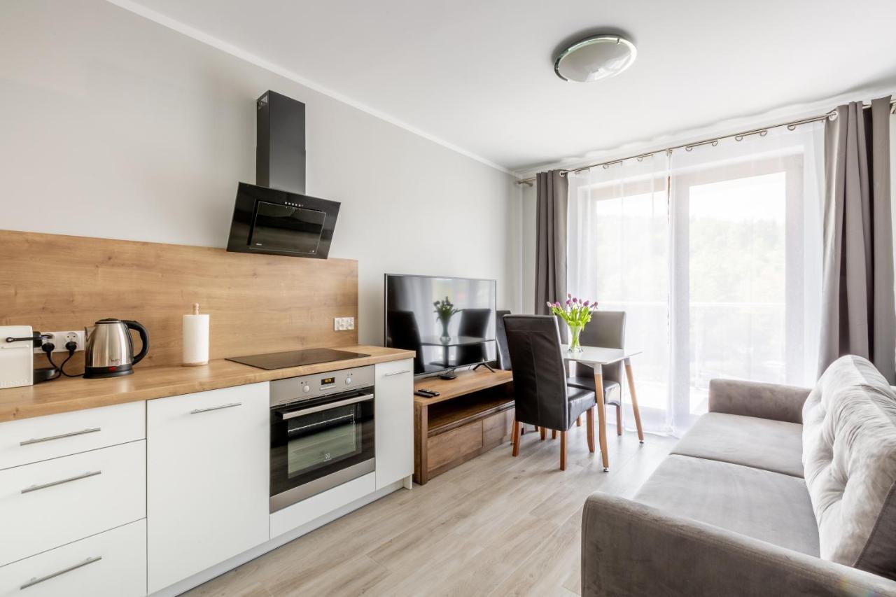 Apartamenty Bluesky: Mountain View Retreat in Karpacz Room photo